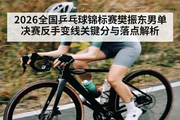 2026全国乒乓球锦标赛樊振东男单决赛反手变线关键分与落点解析 | DOTA2