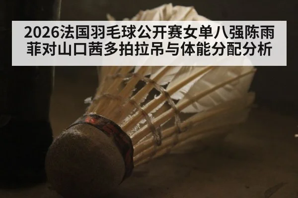 2026法国羽毛球公开赛女单八强陈雨菲对山口茜多拍拉吊与体能分配分析（DOTA2）